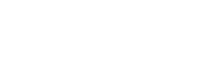 Caudalis Logo